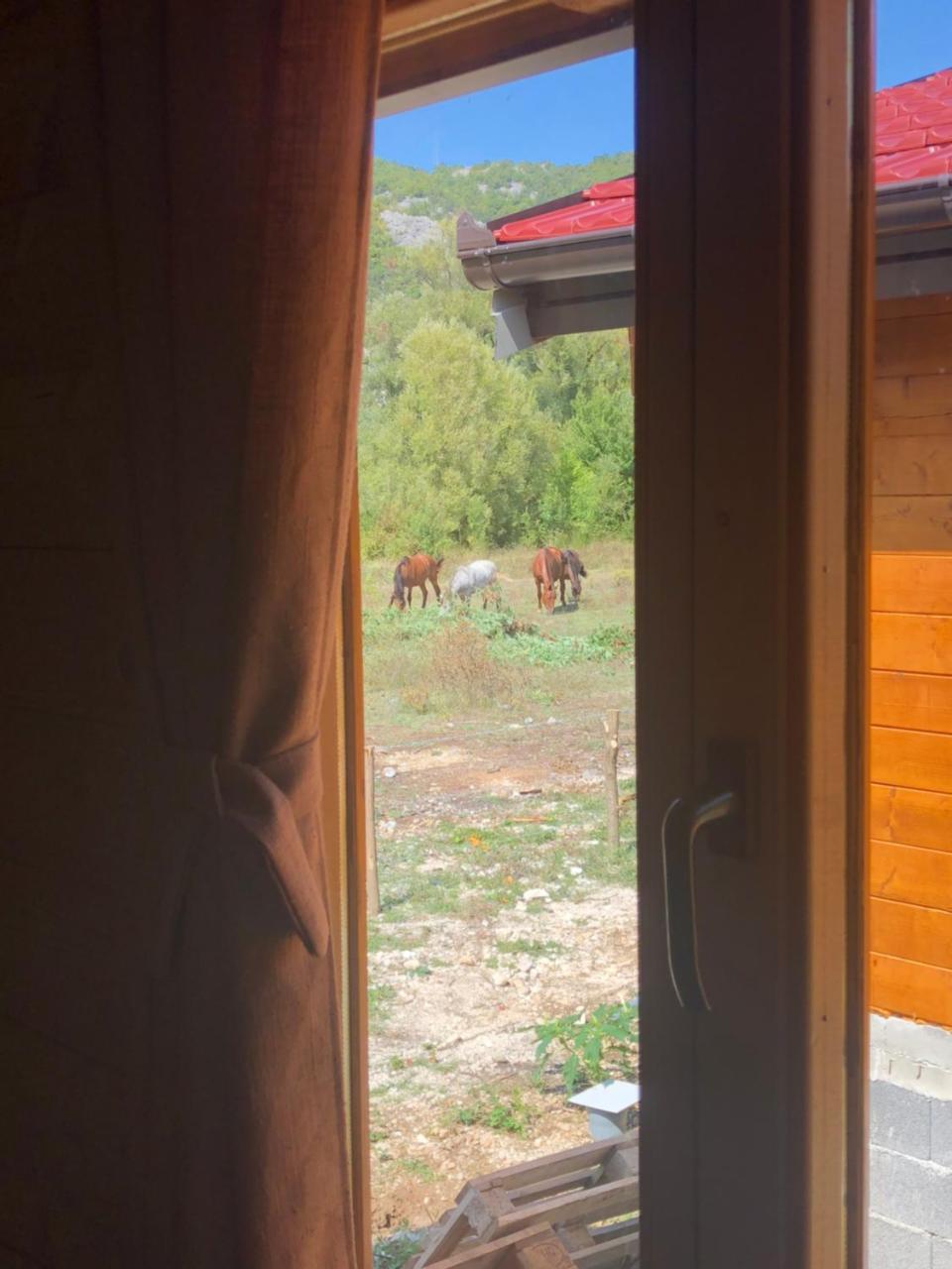 Orahovo Cottages Virpazar Exterior photo
